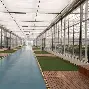 多米体育官方注册-河南建业中超联赛